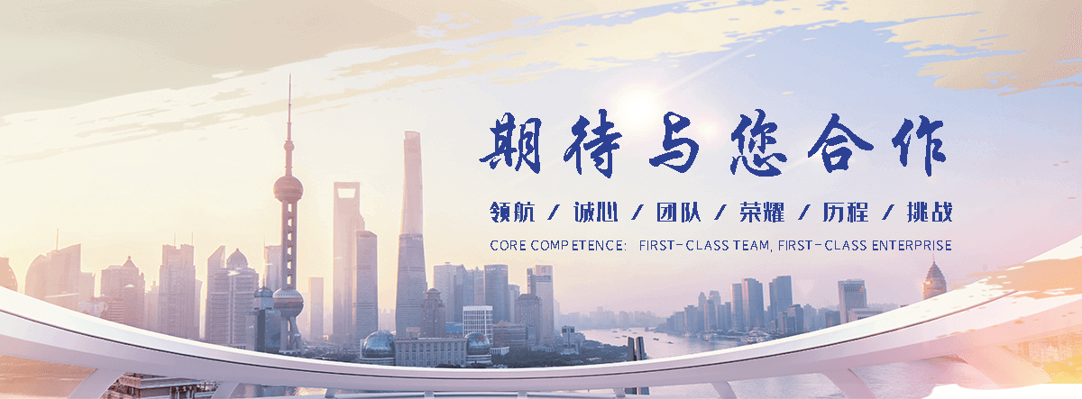 巴中海狮租赁公司